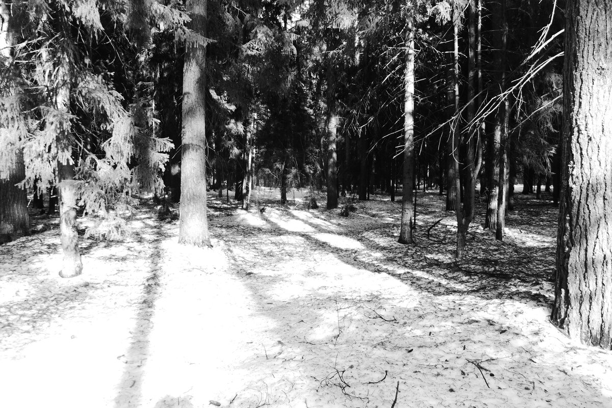 Мечты о ч/б Лейке 72. - Михаил Елочкин