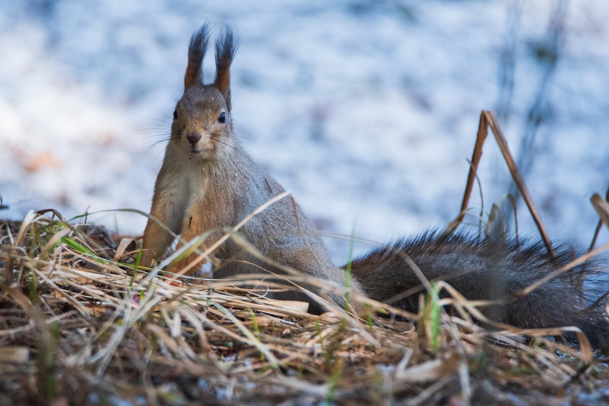 Замерла. - Виктор Евстратов