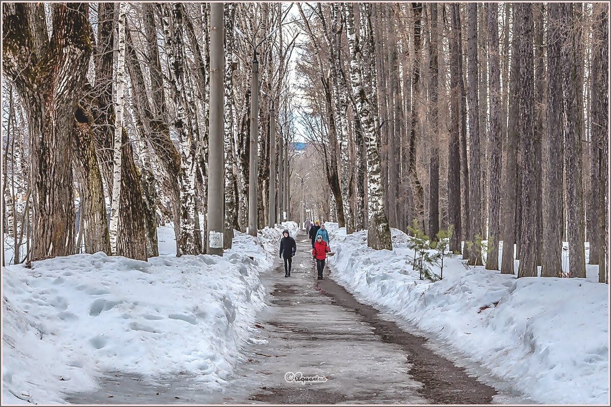 Весенний парк... - Aquarius - Сергей