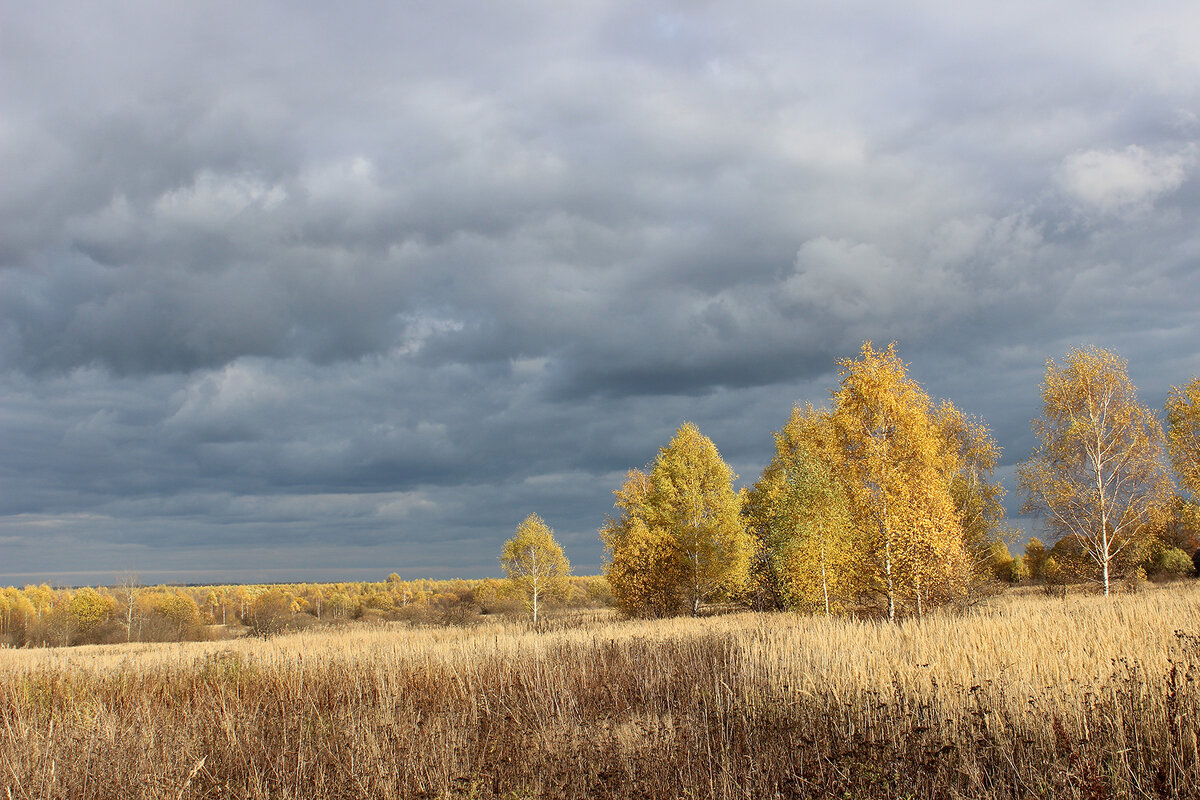 Октябрь 2022 - Ирина Кустова