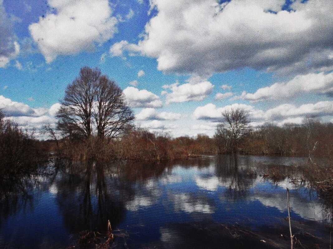 Красота весны - Людмила Смородинская