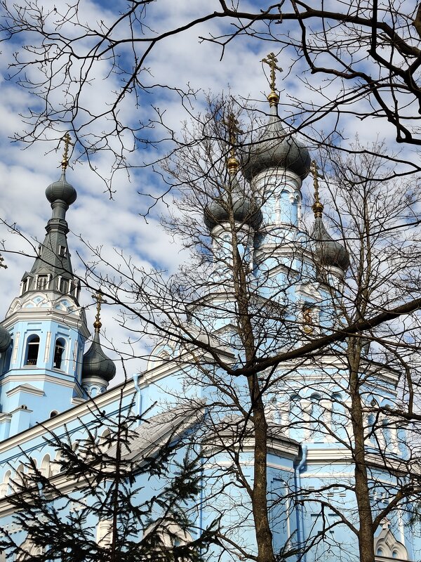 Мартовский день - Андрей 