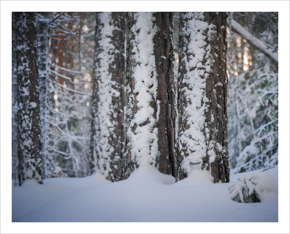* - Александр Иванов