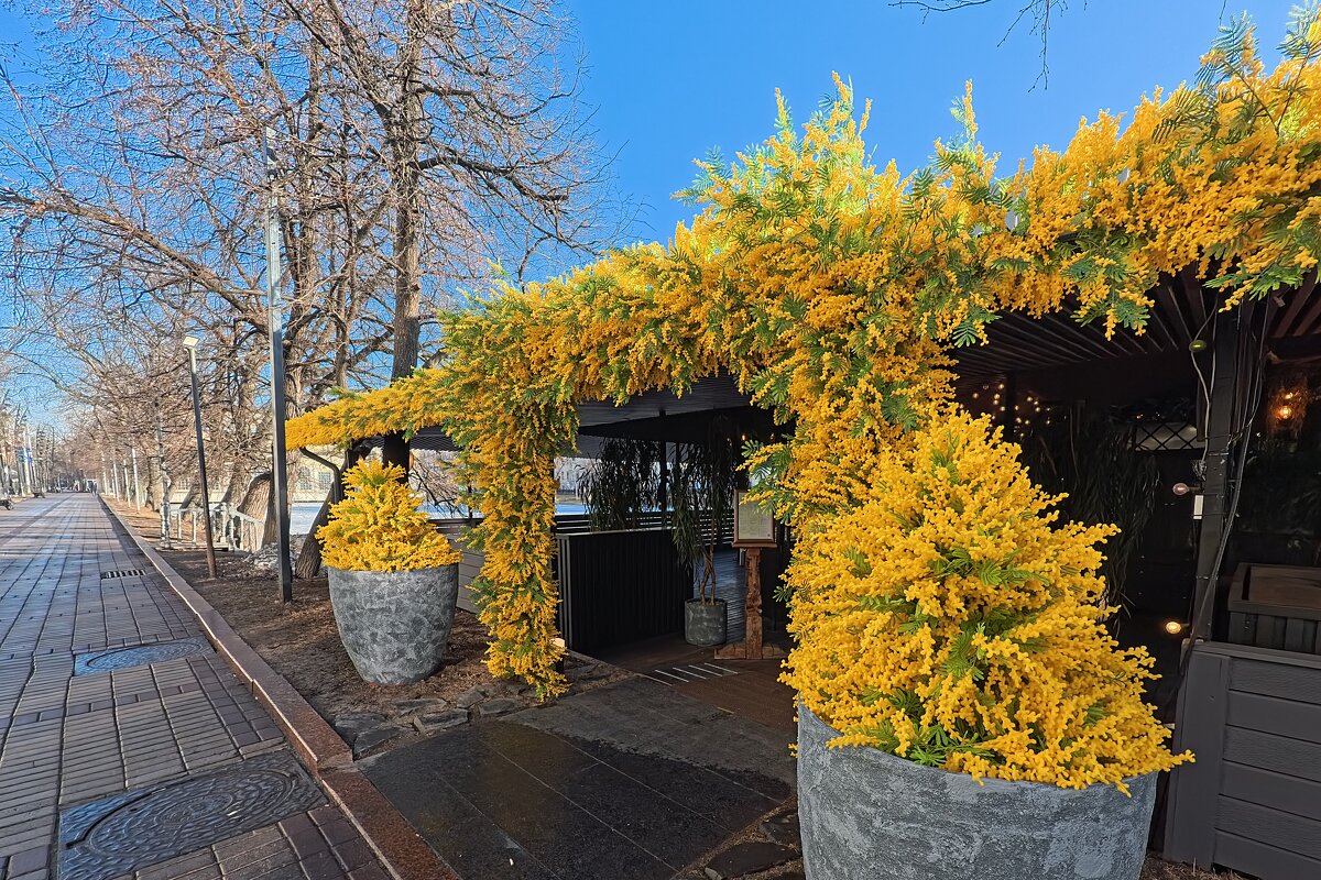 На Чистых прудах. - Лютый Дровосек