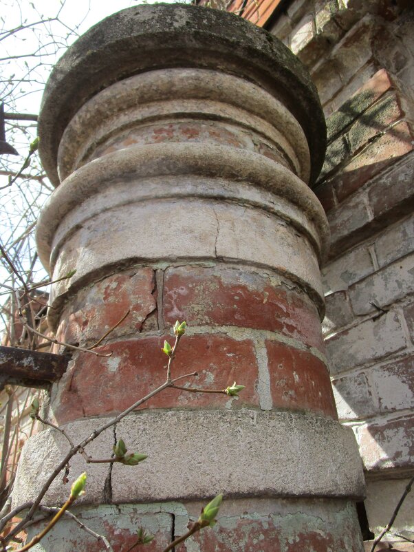 старые стены - Елена Шаламова старые стены - Елена Шаламова