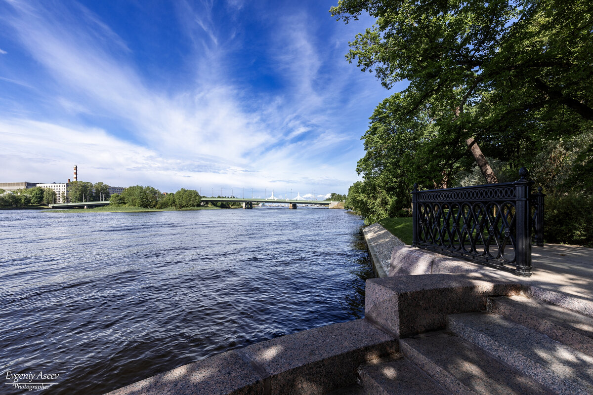 Лето на Малой Невке - Евгений 