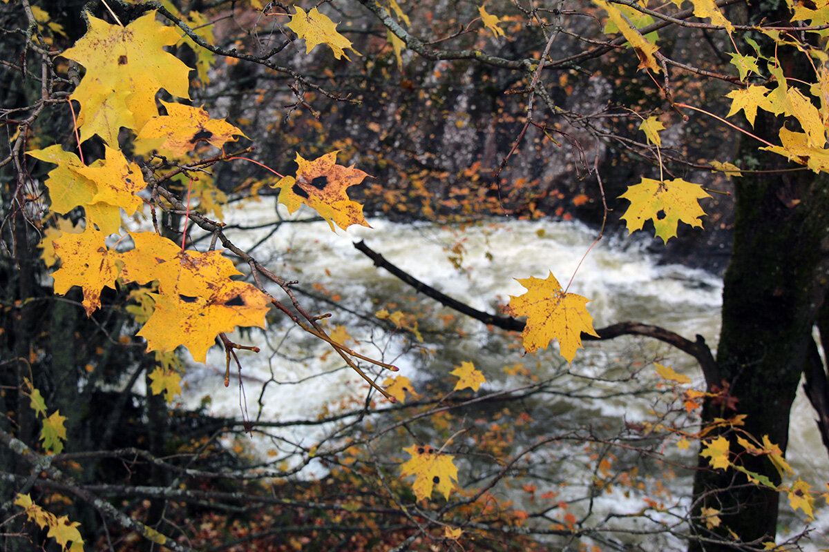 Уплывющие краски золотой осени - Сергей Сомихин
