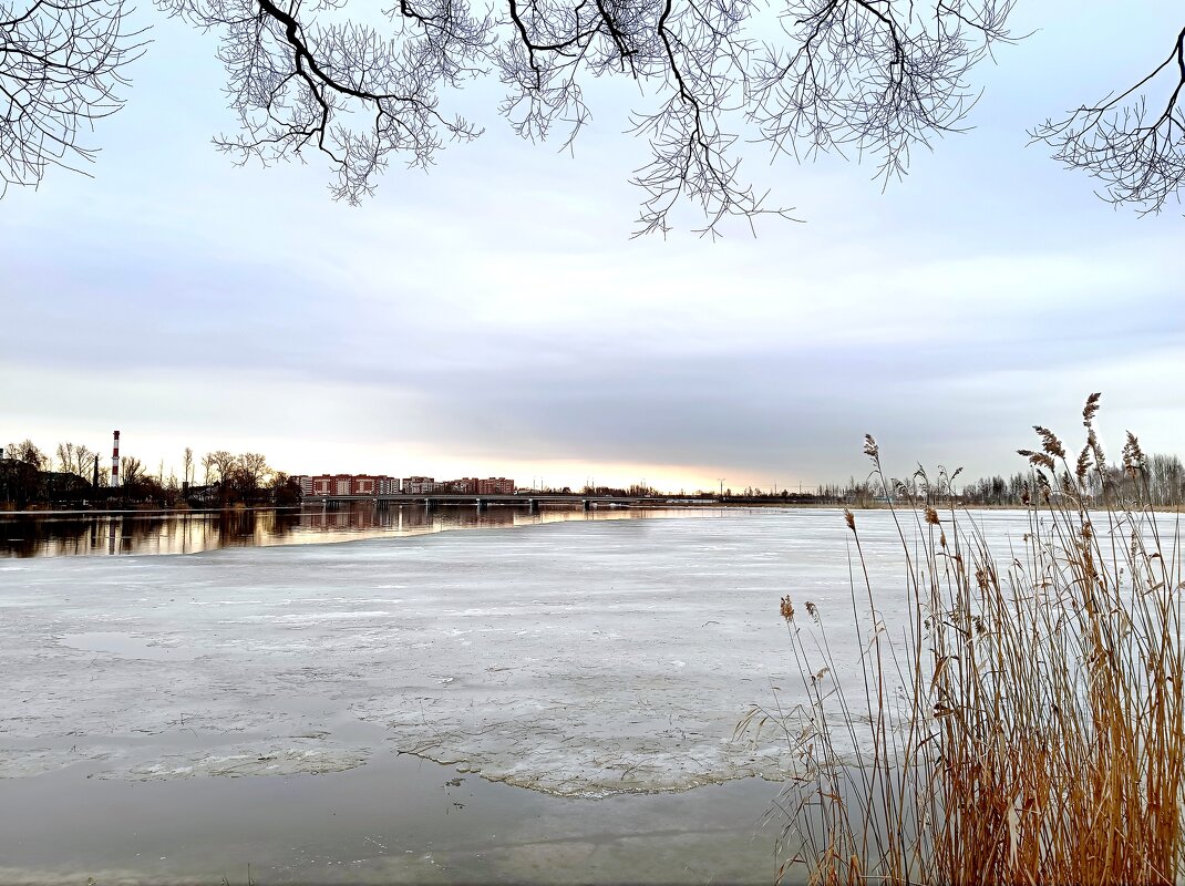Мартовские зарисовки - Мария Васильева Мартовские зарисовки - Мария Васильева