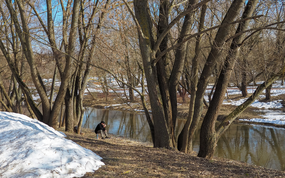 Весенние - юрий поляков