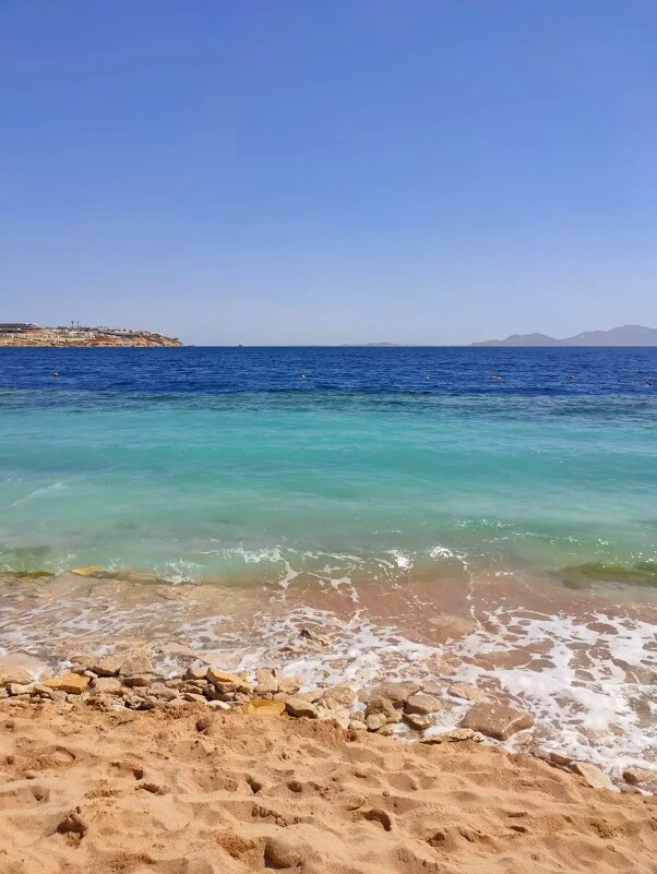 Египет. Красное море - Ирэн 