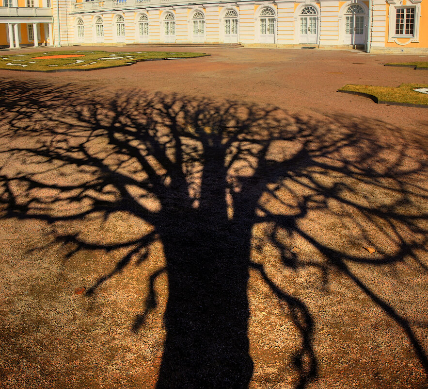 *** - Сергей Григорьев