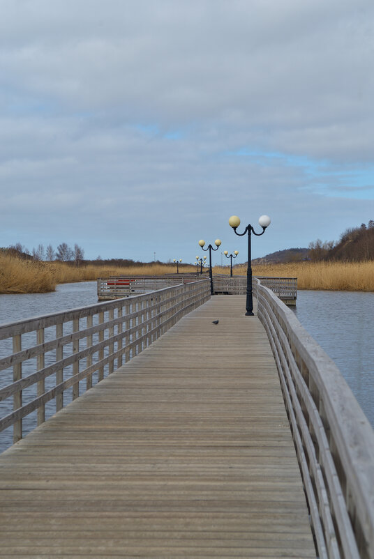 *** - Константин Белоногов