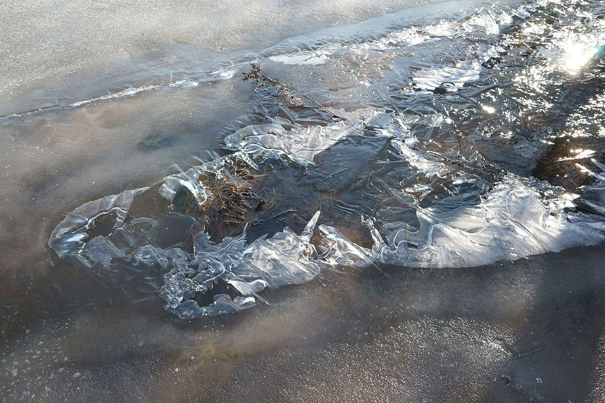 Мартовский натюрморт - Сергей Курников Мартовский натюрморт - Сергей Курников