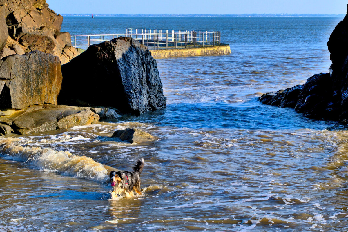 Мокрый какой ! - Георгий А