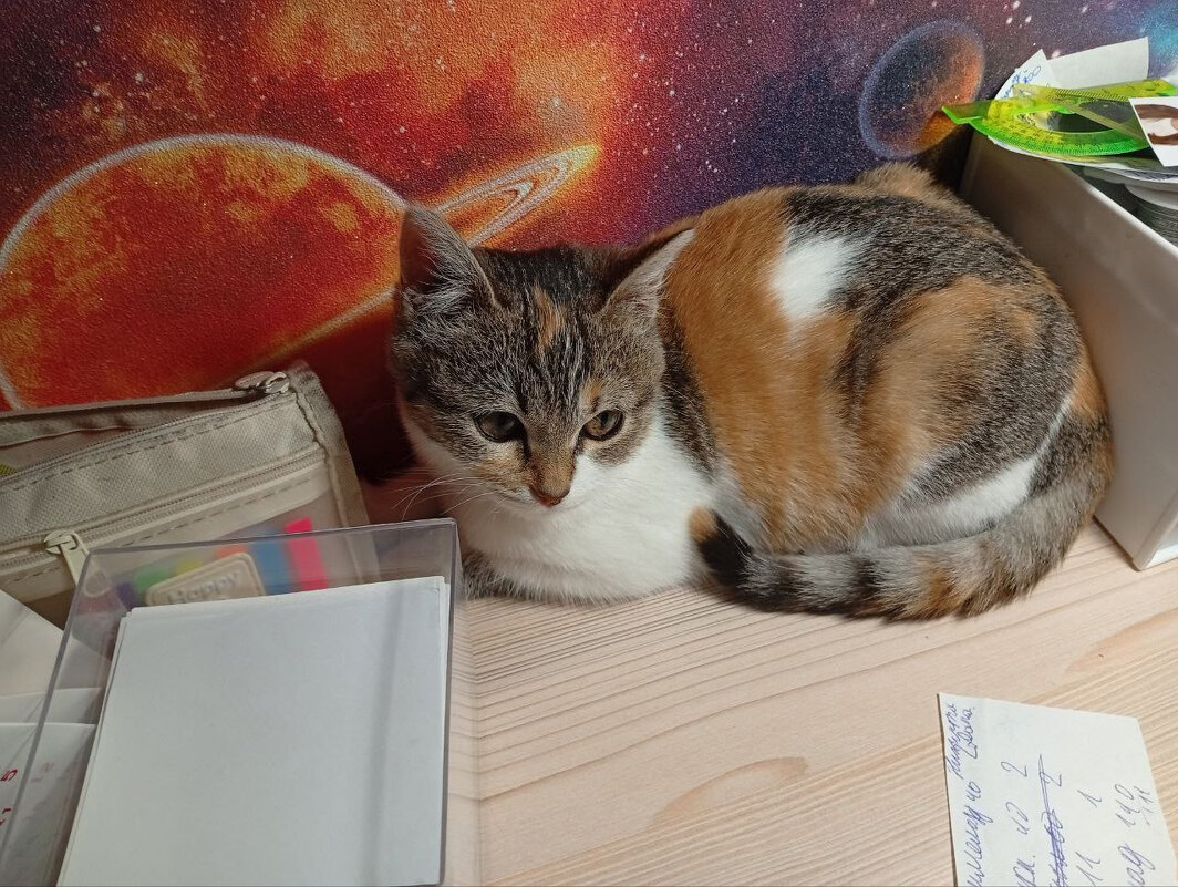 *** - Андрей Л. В.