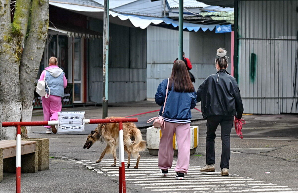 Дорога в парк... - Николай Саржанов