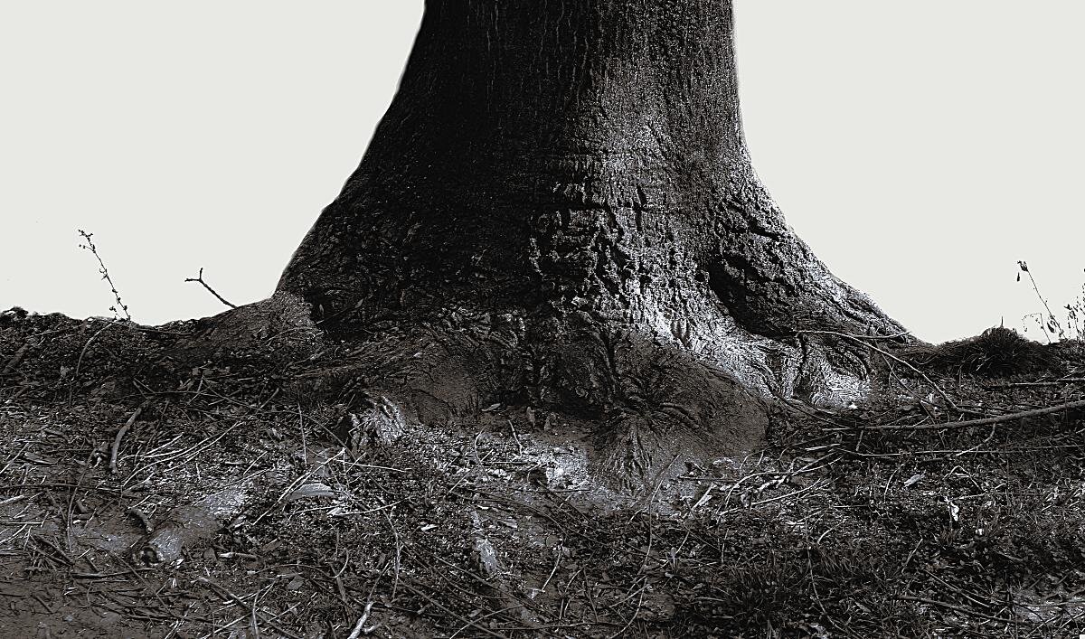 твердыня - Николай Семёнов