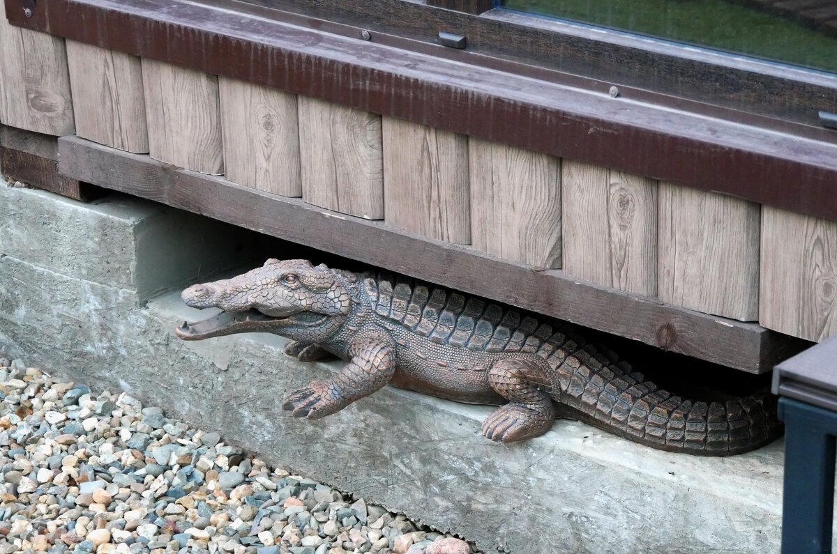 Охранник бани. - Alexey YakovLev