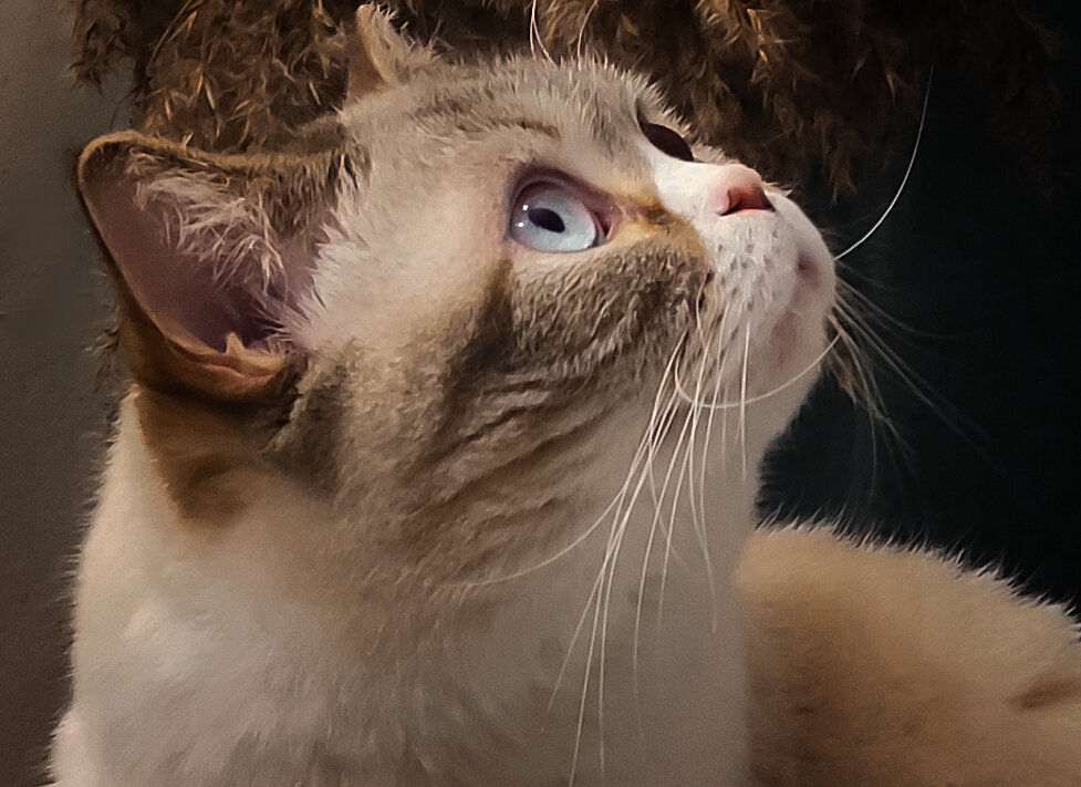 Красотка милка - Андрей Герасименко Красотка милка - Андрей Герасименко