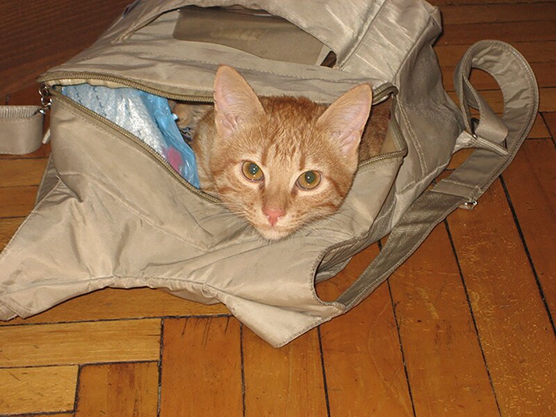 Такой вот "сухой" паёк... - Ирина Кустова