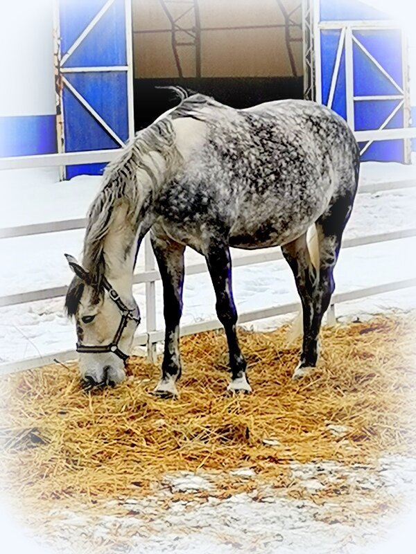 На прогулке - Сергей На прогулке - Сергей