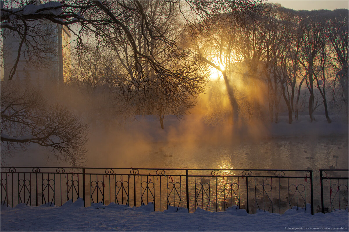 Рассвет - Анастасия Северюхина