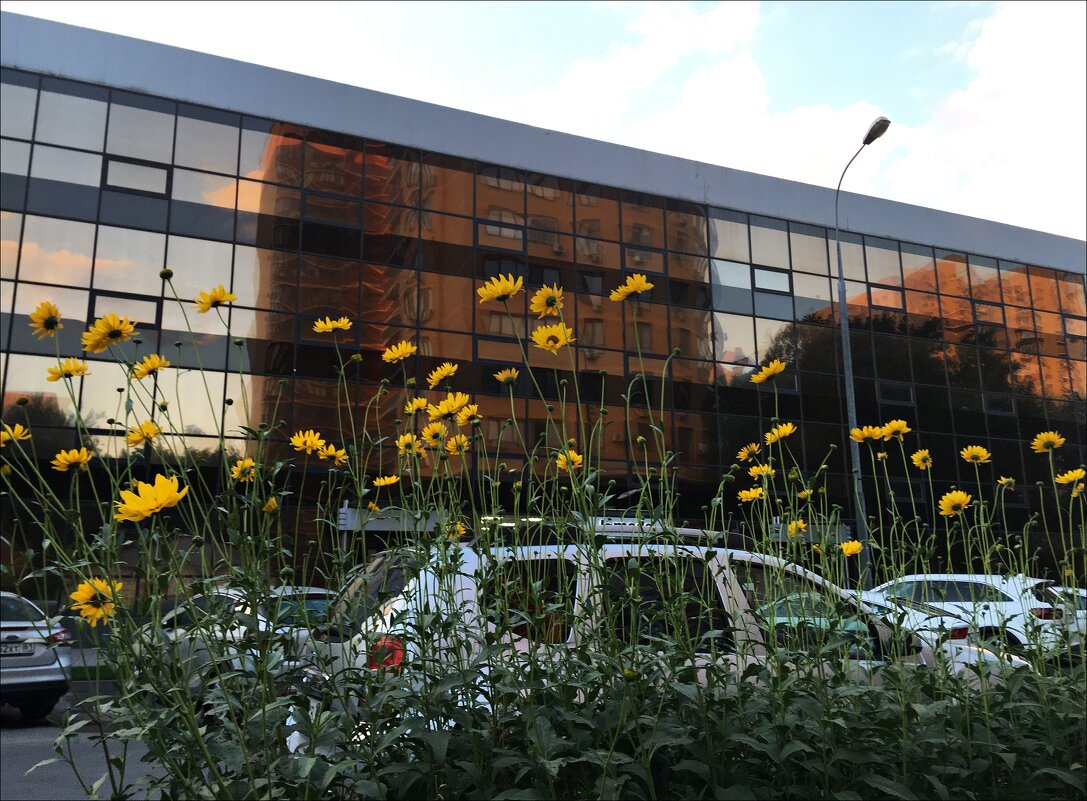 Первые весенние! - Надежда 