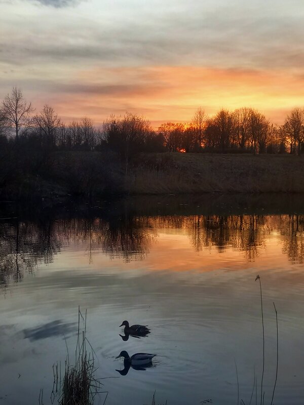 Закат - Сапсан 