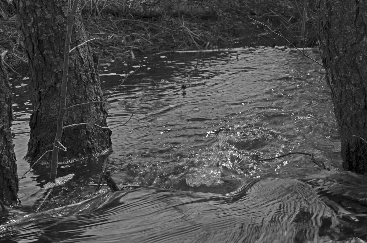 Большая Казанка - Анатолий Момотов