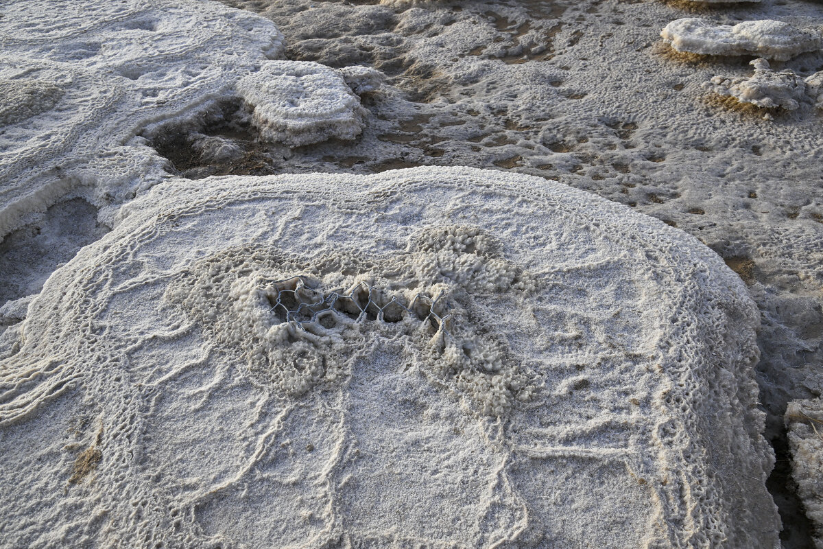 творение природы - Осень творение природы - Осень