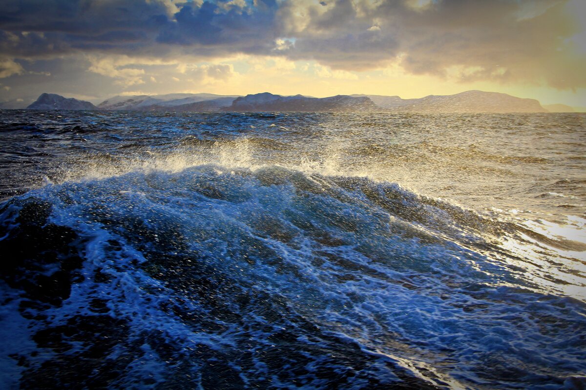 Свежая погодка - В.И 