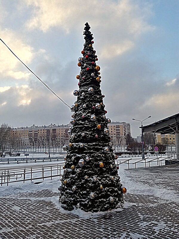 Зима. - Владимир Драгунский