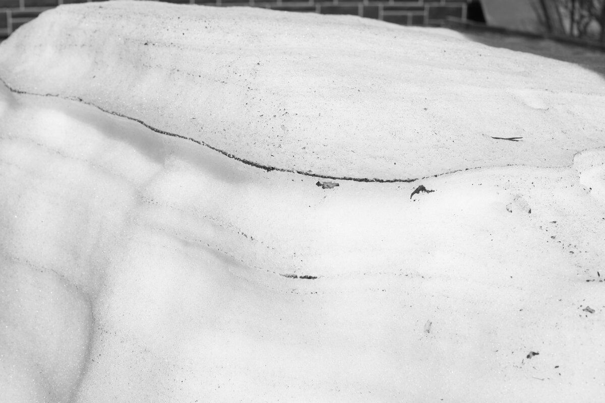 Мечты о ч/б Лейке 80. - Михаил Елочкин