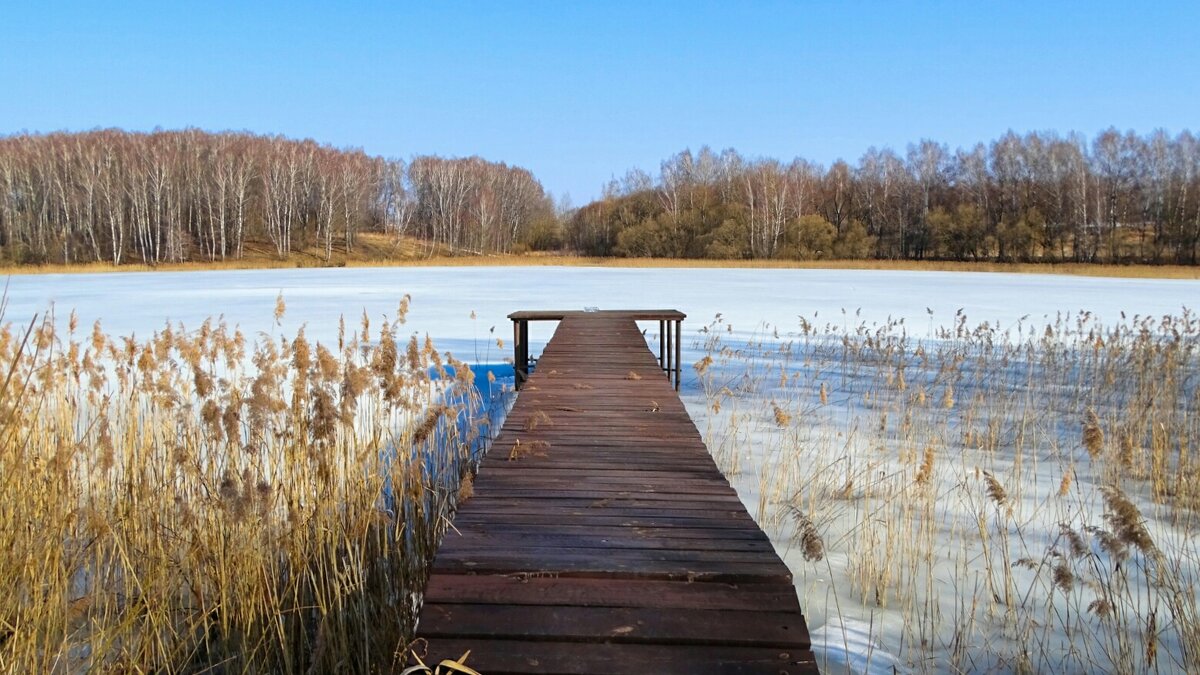 Мостки для рыбаков и ныряльщиков в озеро. - Милешкин Владимир Алексеевич 