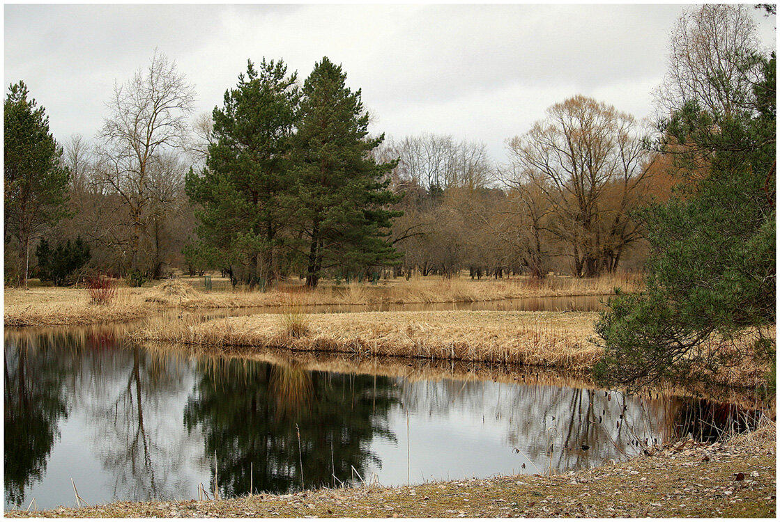 Весна - Aleksandr Gal