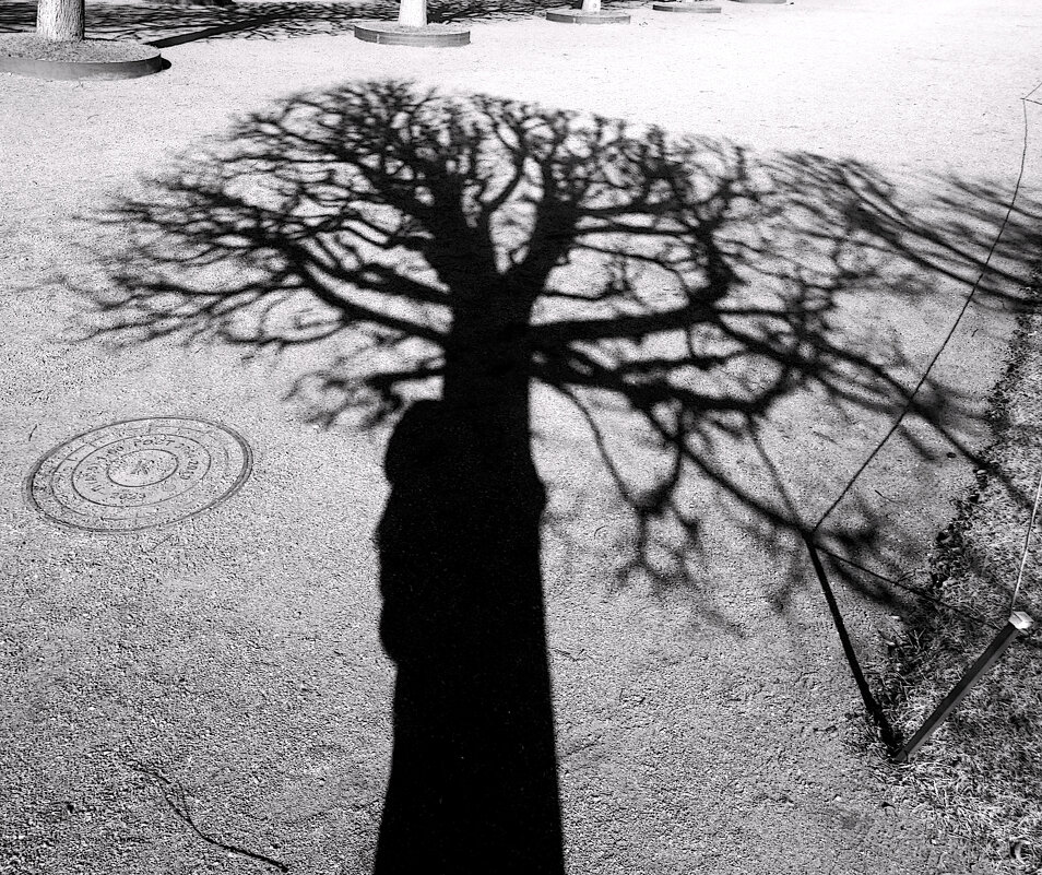 *** - Сергей Григорьев