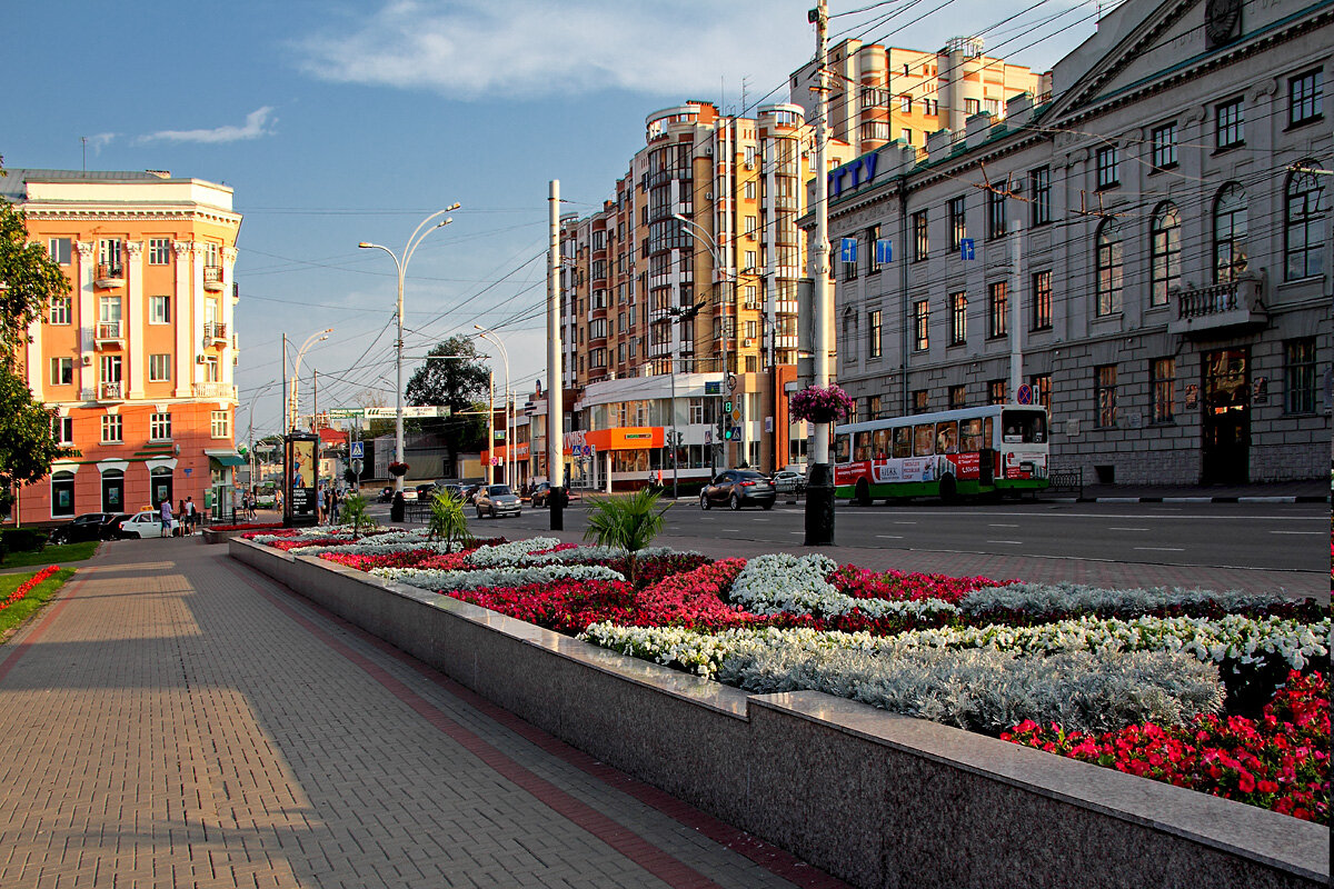 Цветы на улицах Тамбова - MILAV V