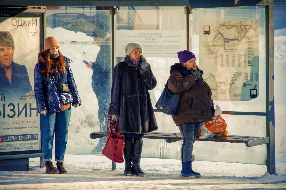 Владимирские субтропики - Elias69 