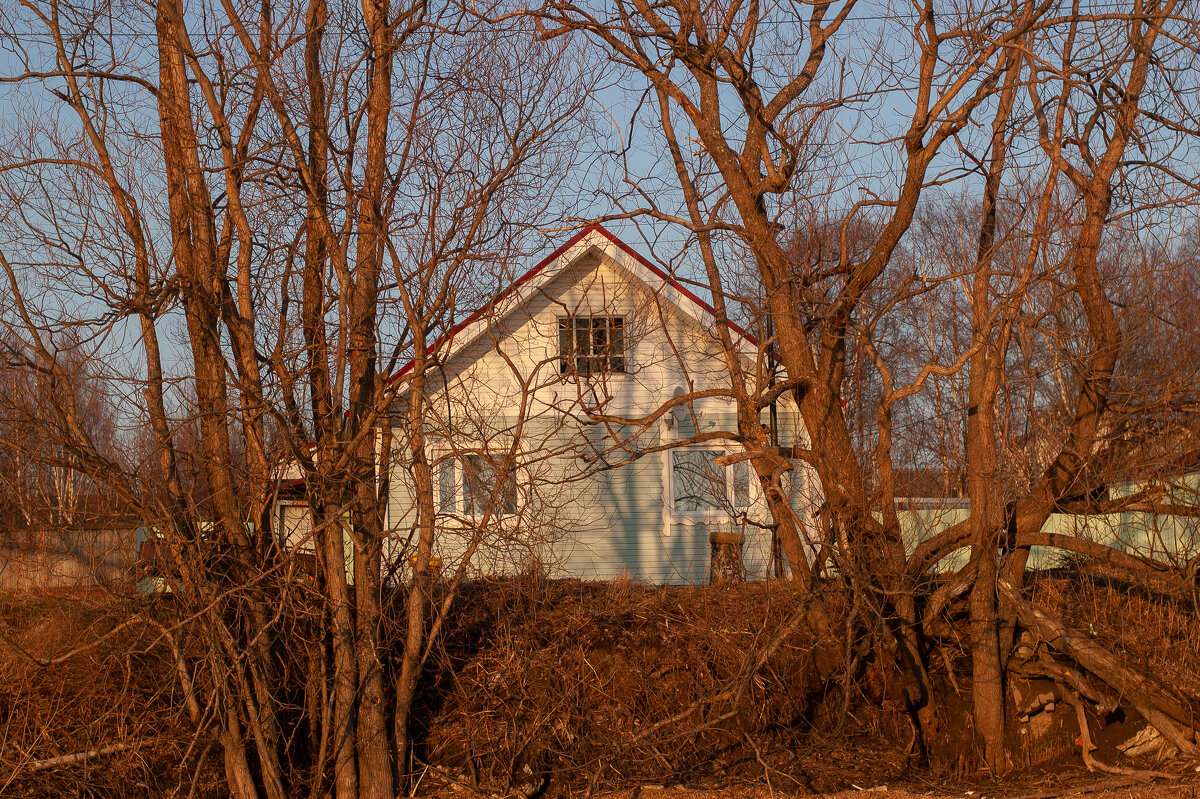 Весенний вечер - Павел Харлин