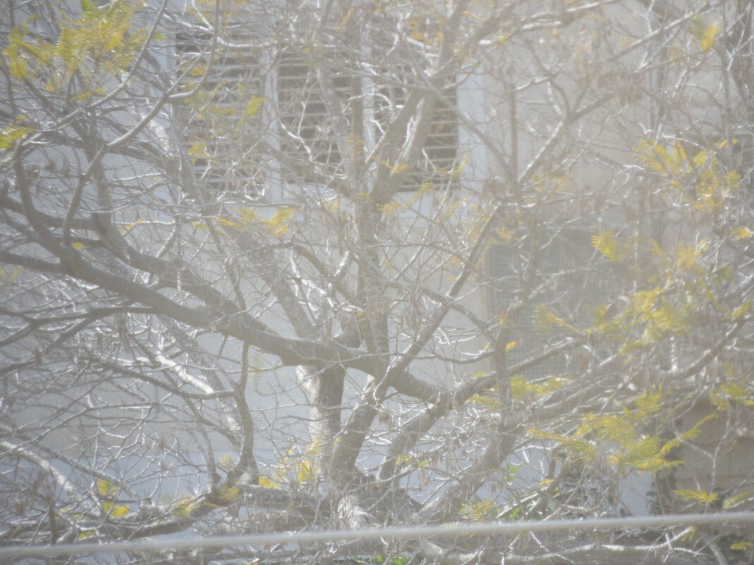 115 (226) - CLOSE WAYS ALL