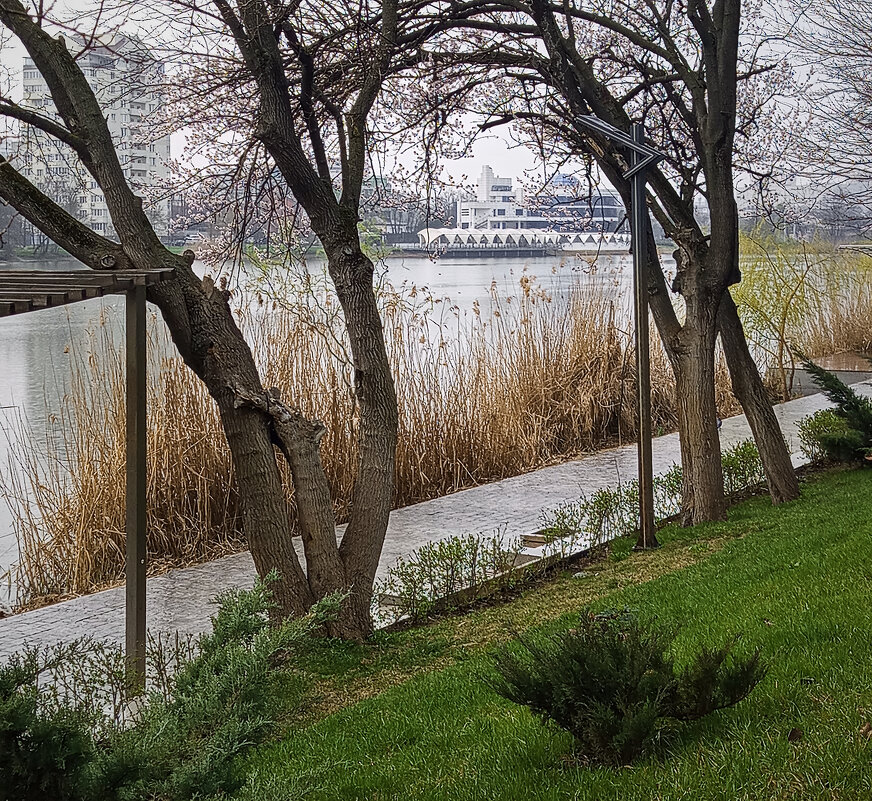 *** - Игорь Протасов