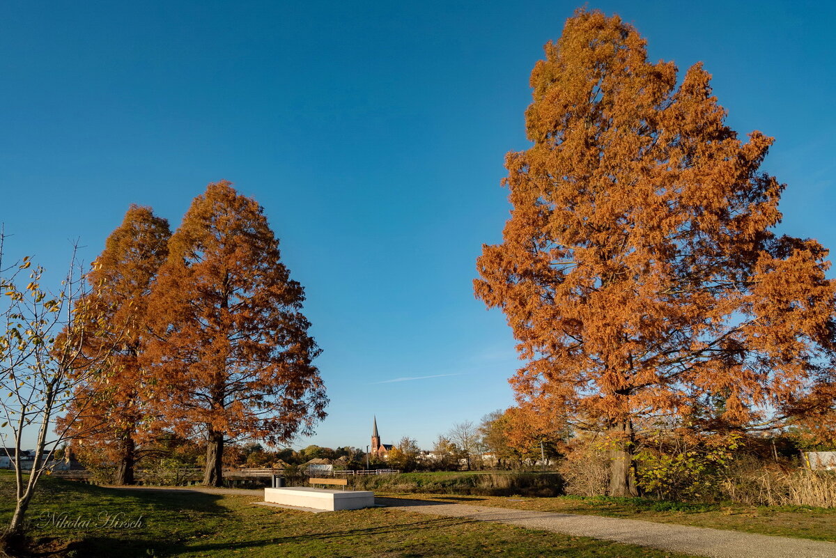 Кипарисы в ноябре... - Николай Гирш
