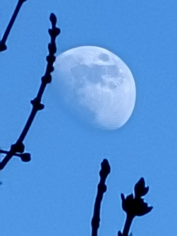 Солнечный день!) - Андрей 