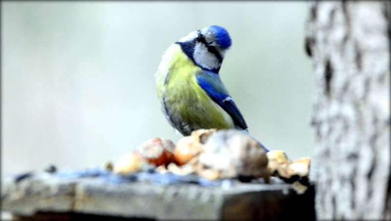 Она позирует ... - Сергей Она позирует ... - Сергей