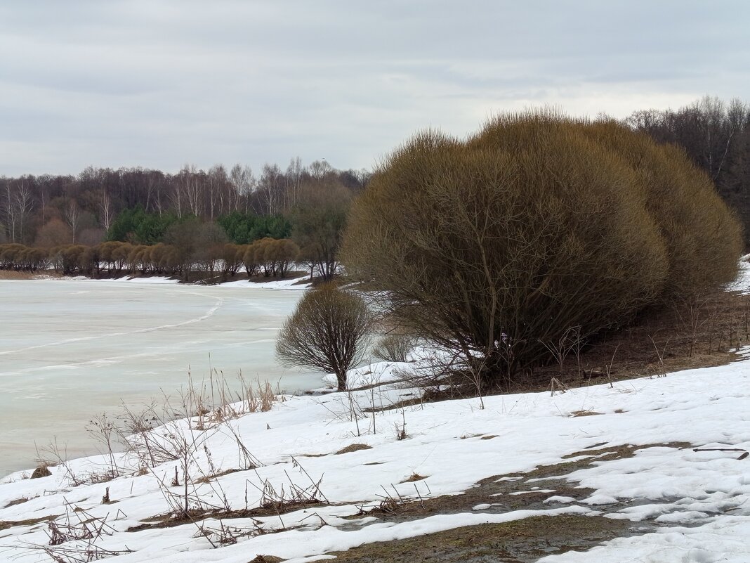 Март, какой может нравится не всем - Андрей Лукьянов