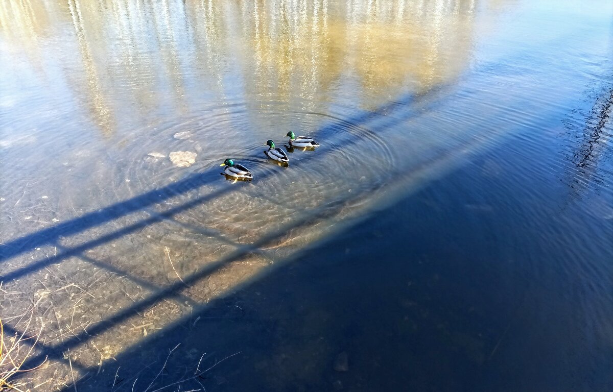 На старт! ) - Veera V