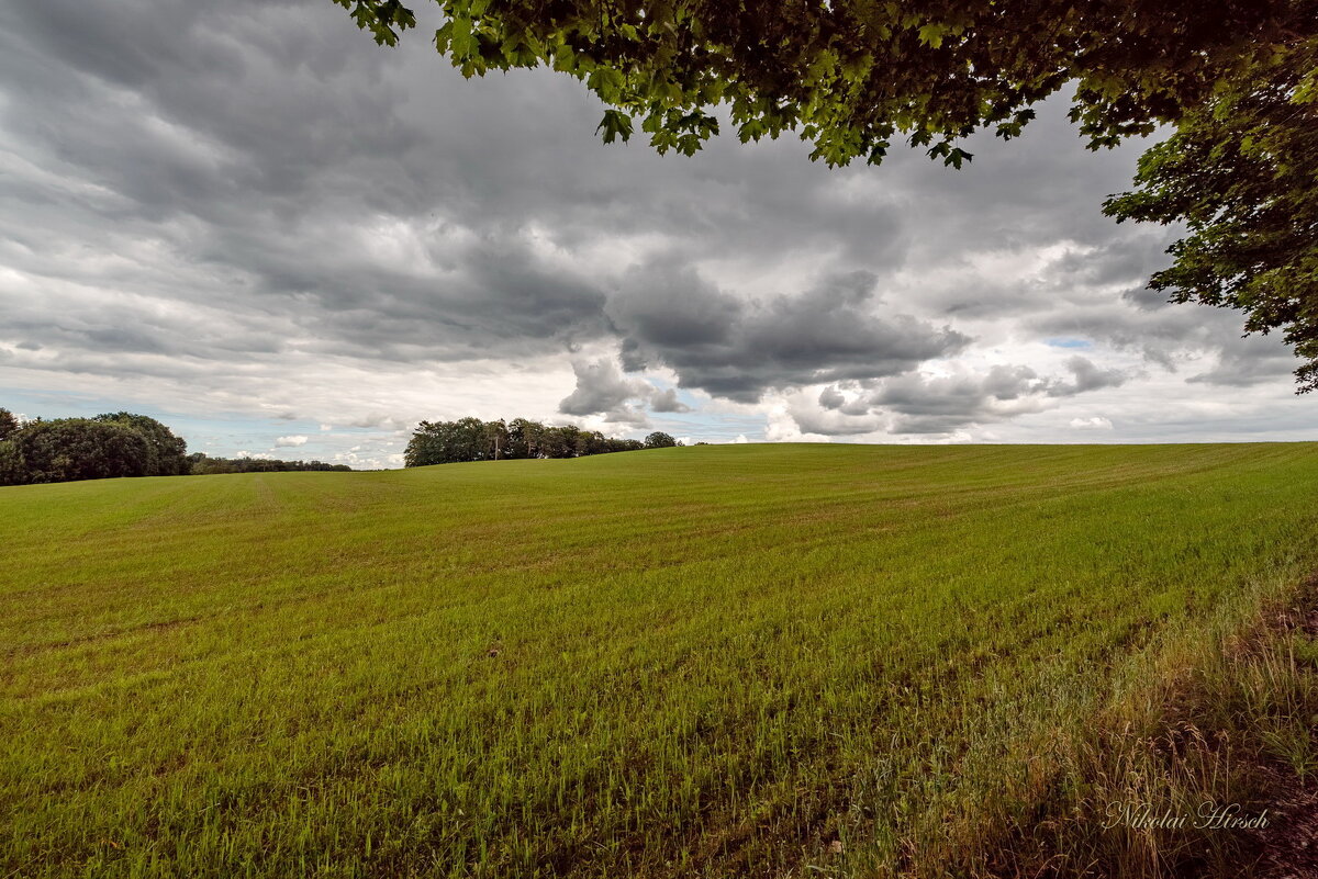 Тучи над полем... - Николай Гирш