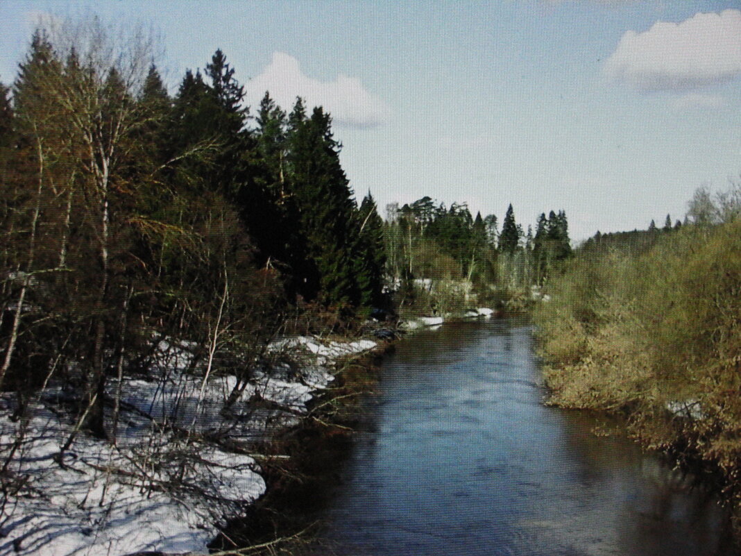 Ещё не весь снег растаял - Людмила Смородинская