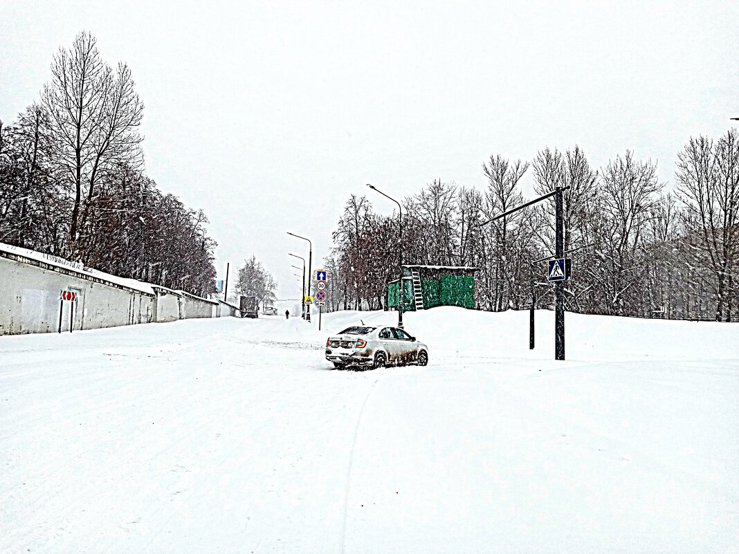 Зима. - Владимир Драгунский