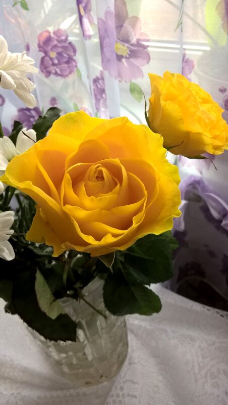 Розы - Елена Семигина Розы - Елена Семигина